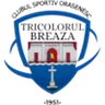 CS Tricolorul Breaza