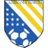 Agricola Borcea