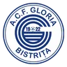 Asociația Club Fotbal Gloria 1922 Bistrița