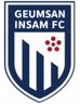 Geumsan Insam