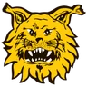 FC Ilves II