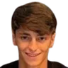 G. Forte