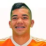 R. Ibarra