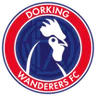 Dorking Wanderers W