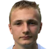M. Mehl