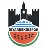 ديار بكر سبور