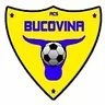 Bucovina Rădăuţi