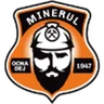 Minerul Ocna Dej