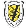 Nogometni Klub Radomlje
