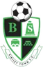 Birtley Town F.C.