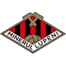 Minerul Lupeni