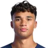 Ikhsan Fandi