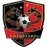 Minnesota Twin Stars