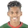 André Vidigal