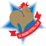 Shanghai Shenxin Football Club