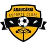 Araucaria U20