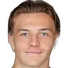 K. Muharemovic