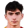 H. Turan