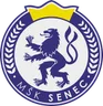 MŠK Senec