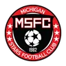 Michigan Stars
