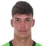 F. Berti