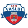 CSM FC Vaslui