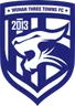 Wuhan Three Towns Football Club II