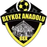 Beykoz Anadolu