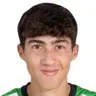 P. Arana