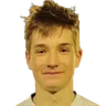 R. Leppik