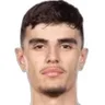N. Mitrovic